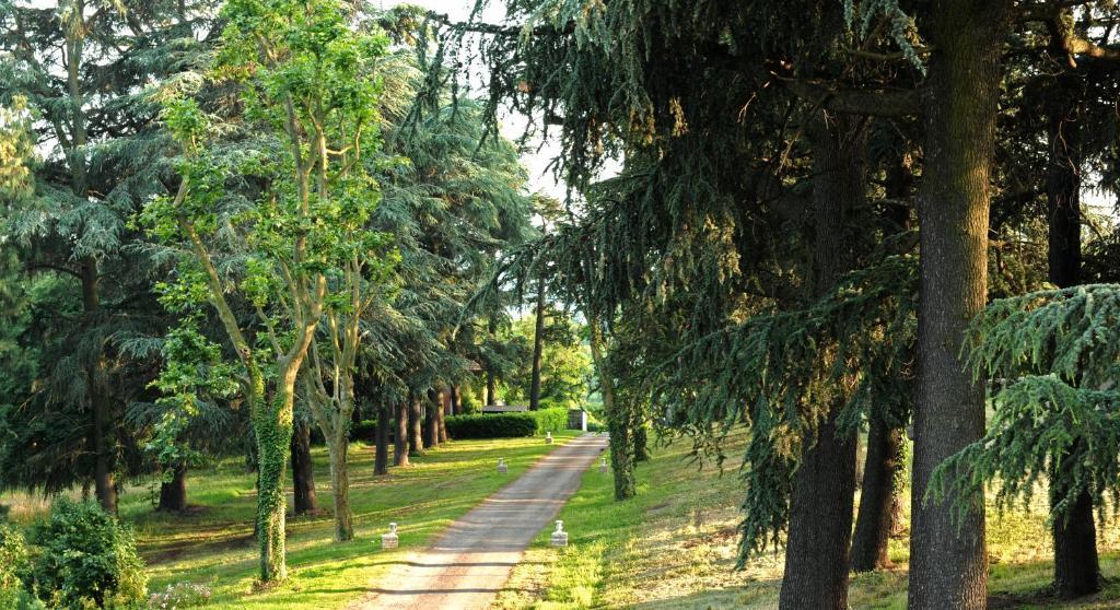 مبيت وإفطار Saint-Jean-Bonnefonds Logis De Nantas المظهر الخارجي الصورة